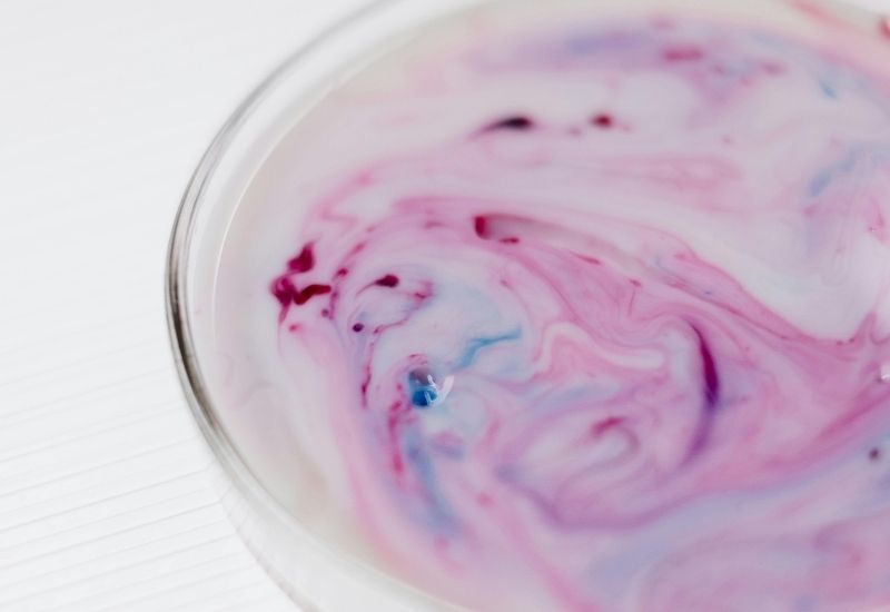 microbiote