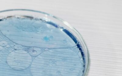 Probiotiques topiques : actifs, lysats ou postbiotiques ?