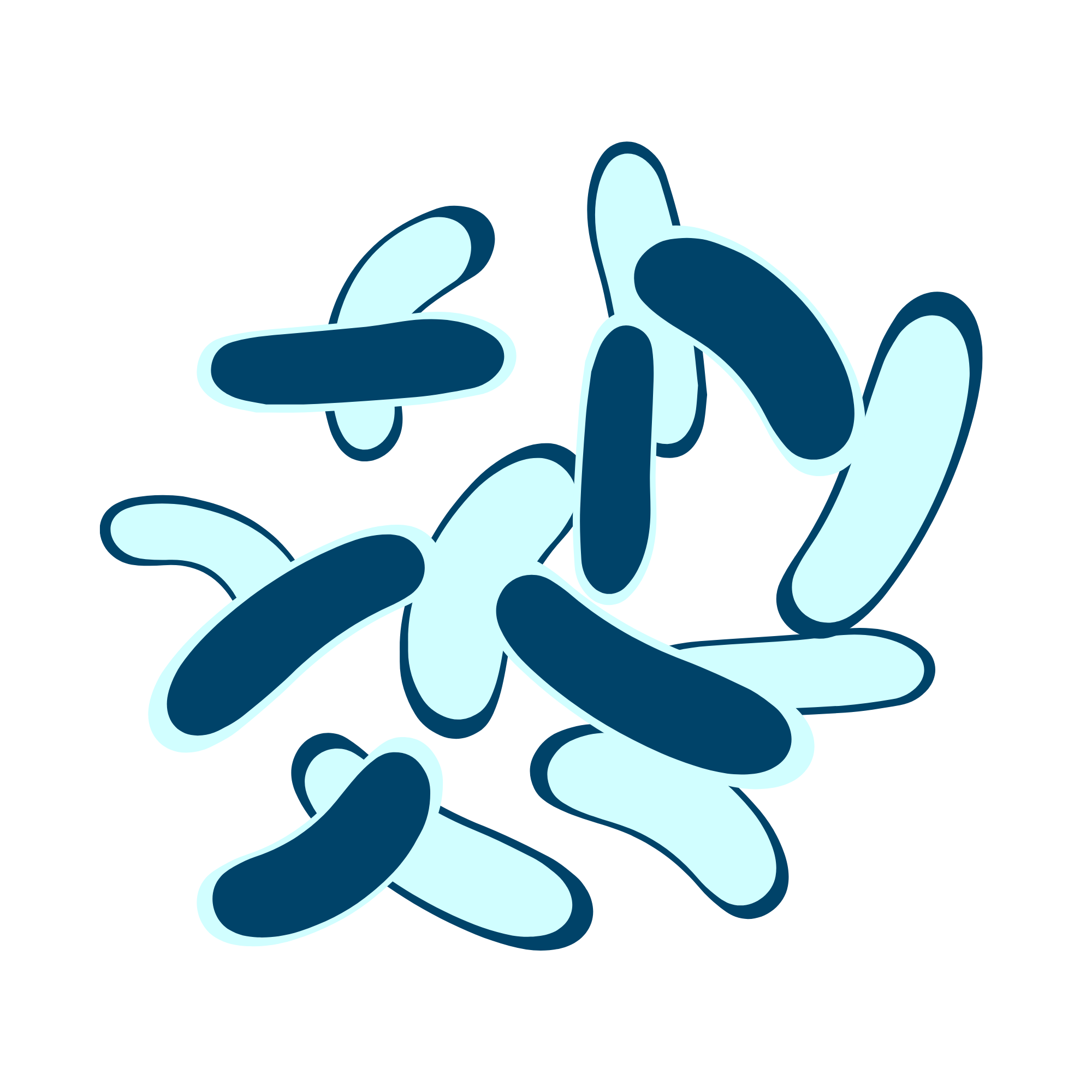 Probiotiques actifs