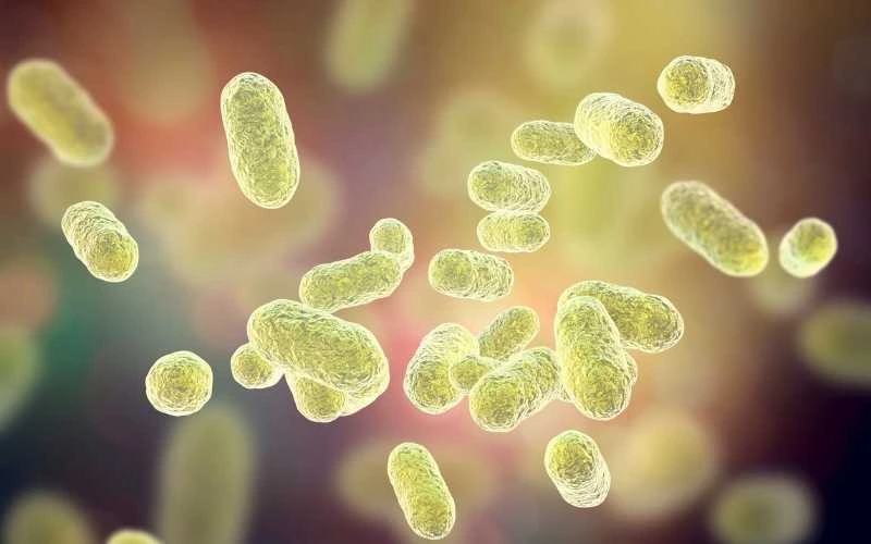 microbiote et barrière cutanée